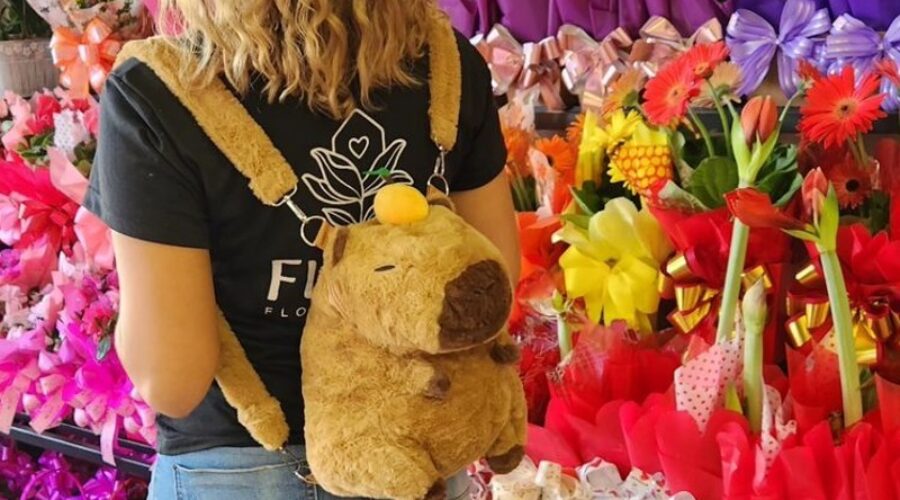 Empreendedores entram na ‘onda’ da capivara e faturam com produtos temáticos