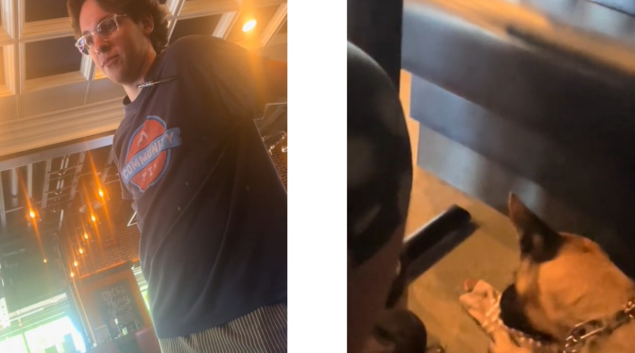 Garçom pede para cliente com cão de serviço se retirar e é rebatido; veja o que diz a lei