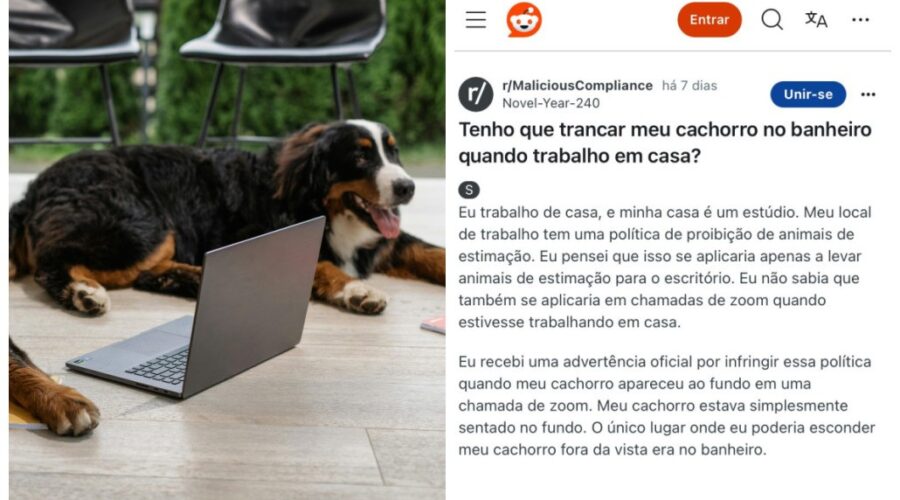 Funcionário é advertido por empresa após cachorro aparecer em reunião online: ‘Proíbem pets’
