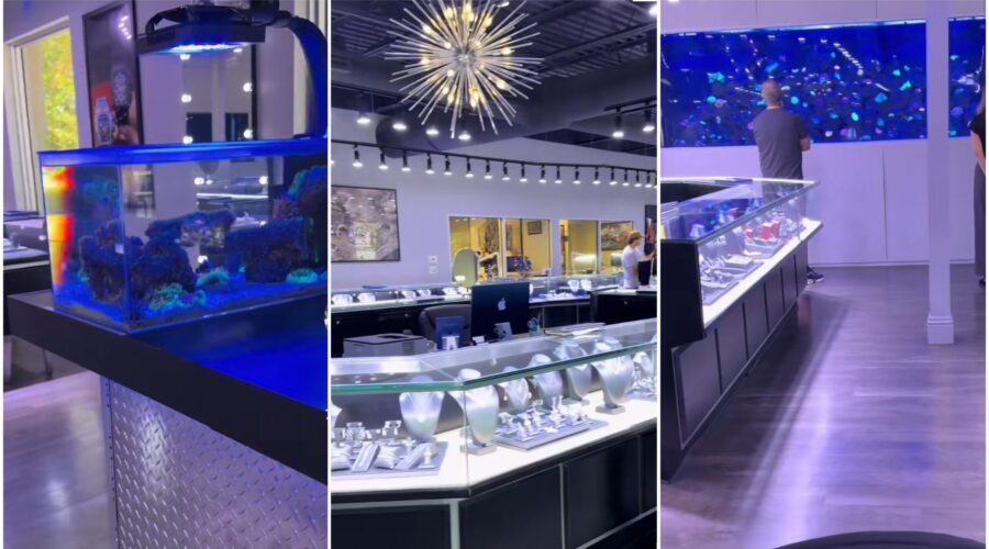 Mulher viraliza ao mostrar loja de joias que é divulgada como aquário: ‘Me sentindo enganada’