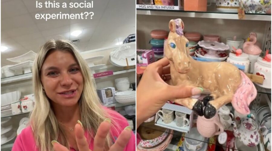 Cavalo de cerâmica ‘infantil’ à venda por R$ 110 intriga clientes de varejista